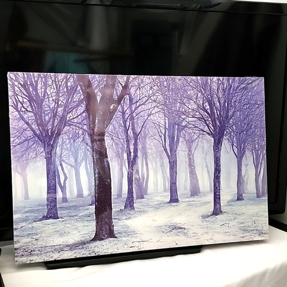 Canva Wall Art. Lighted. Forest with fog and snowy ground. - Picture 3 of 8
